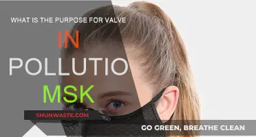 Valve Functionality in Pollution Masks