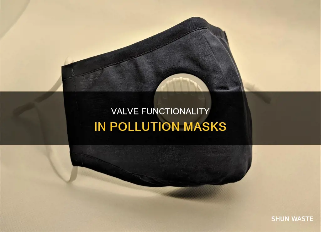 what is the purpose for valve in pollution msk