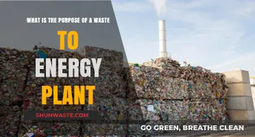 Waste to Energy Plants: Transforming Trash into Sustainable Power Solutions