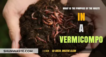 Understanding the Role of Waste in Vermicomposting: A Sustainable Breakdown