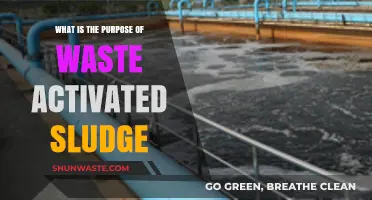 Understanding Waste Activated Sludge: Its Role and Environmental Benefits