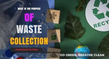 Understanding the Vital Role of Waste Collection in Sustainable Living