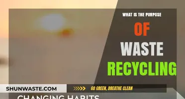 Recycling's Role: Preserving Resources, Reducing Pollution, and Sustaining Our Planet