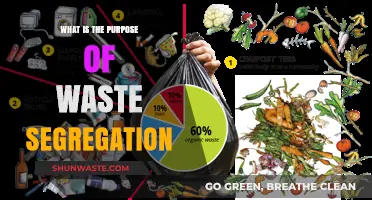 Why Waste Segregation Matters: Unlocking Environmental Benefits and Sustainability