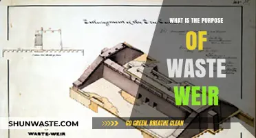 Understanding Waste Weirs: Their Essential Role in Water Management