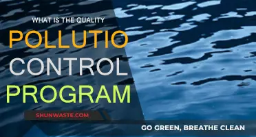 Effective Pollution Control Programs: Strategies for Success