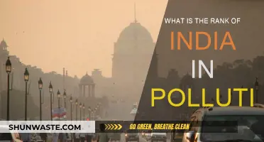 India's Pollution Ranking: A Troubling Distinction