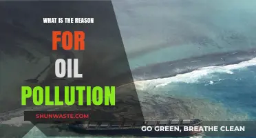 Understanding Oil Pollution: Causes and Human Impact