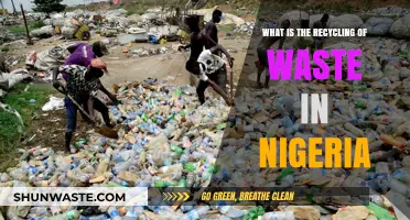 Exploring Nigeria's Waste Recycling: Challenges, Innovations, and Sustainable Solutions