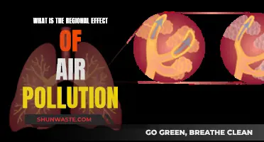 Air Pollution's Impact: A Regional Analysis