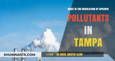 Tampa's Pollution: Regulating for a Cleaner Future