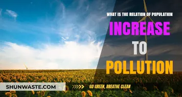 Population Boom: Pollution's Unseen Catalyst
