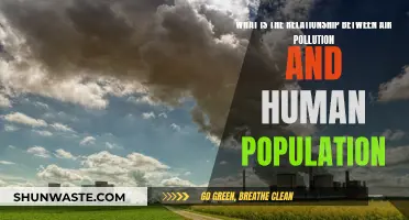 Air Pollution: Population's Impact and Responsibility