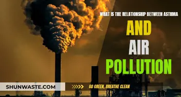 Asthma and Air Pollution: Understanding the Link