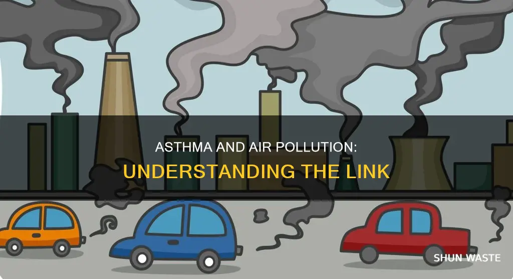 what is the relationship between asthma and air pollution