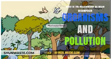 Decomposers: Pollution's Unseen Clean-up Crew