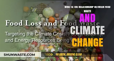 The Hidden Connection: Food Waste's Impact on Climate Change