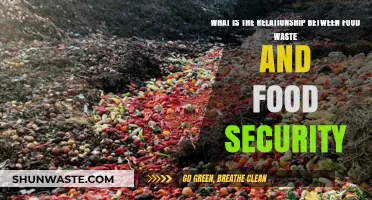 Exploring the Paradox: Food Waste and Food Security Connection