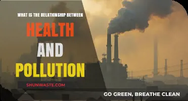 Health Hazards: Pollution's Impact