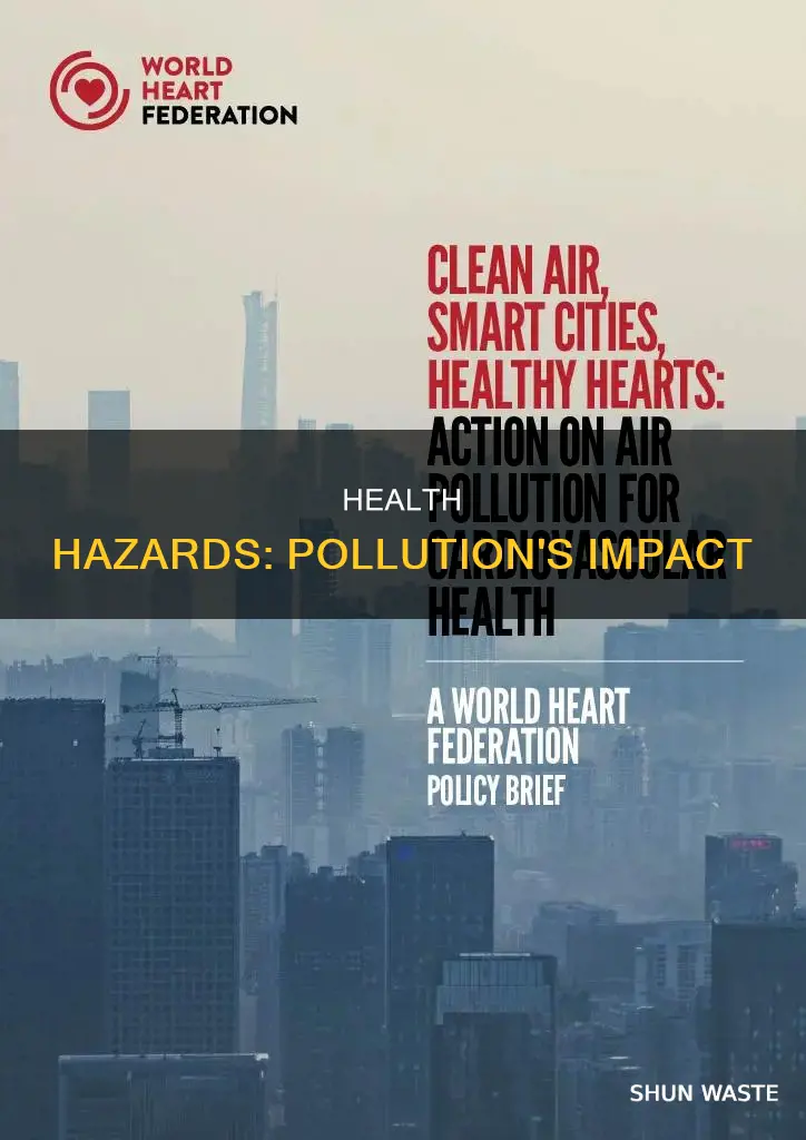 what is the relationship between health and pollution
