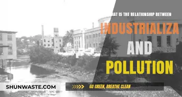 Industrialization's Dark Side: Pollution's Birth and Growth