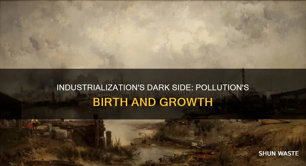 what is the relationship between industrialization and pollution