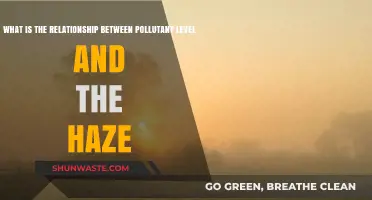 Haze and Pollutants: Understanding the Connection