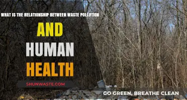 Waste Pollution: Its Impact on Human Health