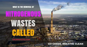 Understanding Nitrogenous Waste Removal: Essential Biological Process Explained