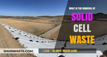 Understanding Solid Cell Waste Removal: Processes, Importance, and Health Benefits