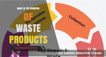 Understanding the Body's Waste Removal Process: Essential Functions Explained