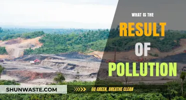 Pollution's Impact: A World in Danger