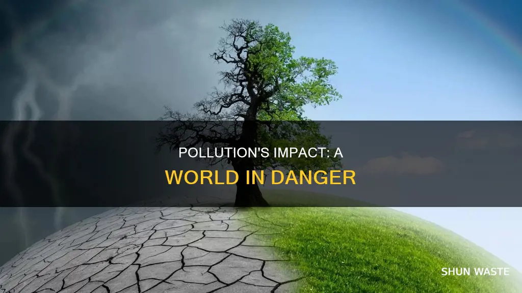 what is the result of pollution