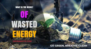 The Hidden Costs of Wasted Energy: Environmental and Economic Impacts