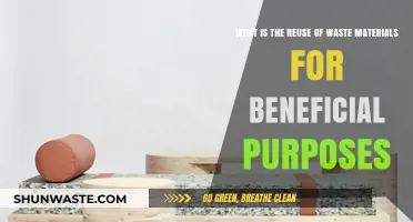 Transforming Trash: Creative Reuse of Waste for Sustainable Living