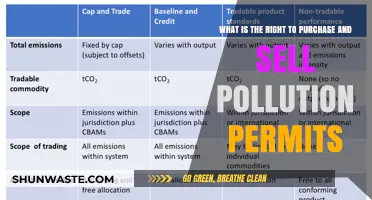 Pollution Permits: Buying and Selling the Right to Pollute