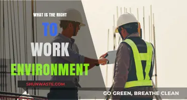 Understanding Your Right to a Safe and Healthy Work Environment