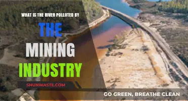 Mining's Toxic Legacy: River Pollution