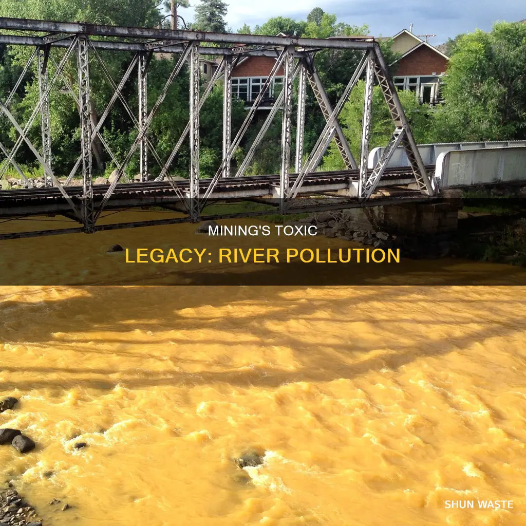 what is the river polluted by the mining industry