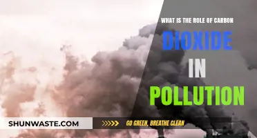 Carbon Dioxide's Role in Pollution Explained