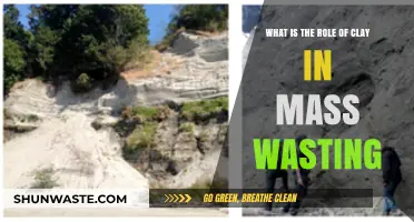 Clay's Critical Role in Triggering and Accelerating Mass Wasting