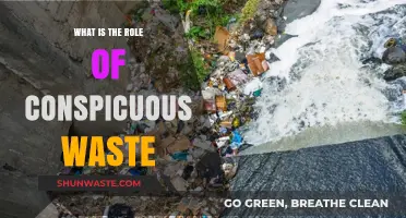 Conspicuous Waste: Unveiling Its Role in Modern Consumer Culture