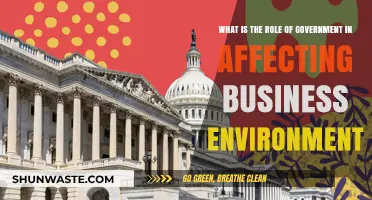 Government's Impact: Shaping Business Environments and Economic Landscapes