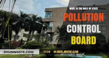 The State Pollution Control Board: Enforcing Environmental Laws