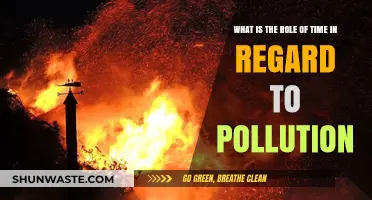 Time's Impact on Pollution: A Complex Relationship