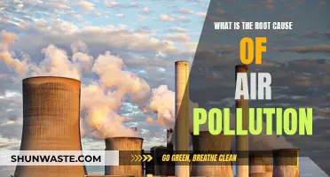 Understanding Air Pollution: Root Causes and Sources