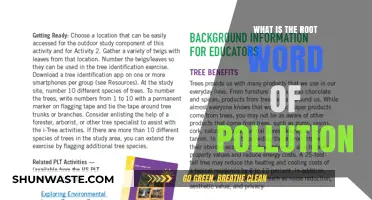 The Root of Environmental Pollution: Understanding the Etymology