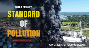 Air Pollution Safety Standards: What You Need to Know
