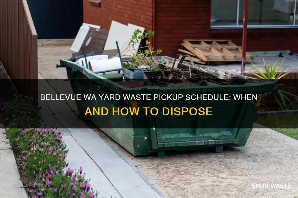 what is the schedule for yard waste in bellevue wa