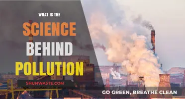 How Pollution Impacts Our Health: Scientific Insights